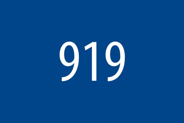 919 Blauw