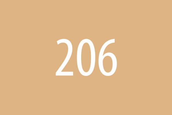 206 Dennen midden