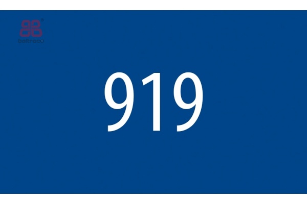 919 Blauw