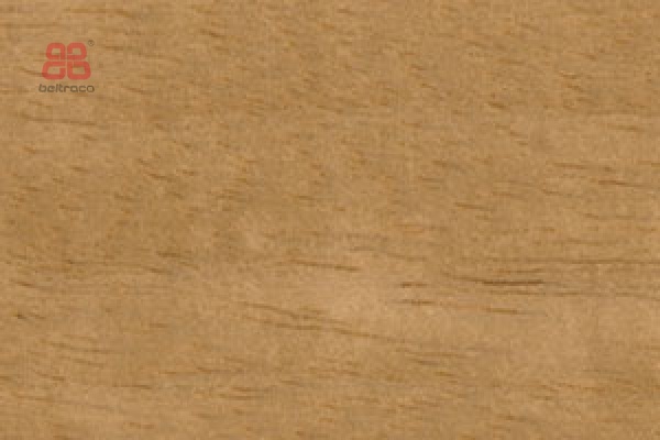 126 Limba