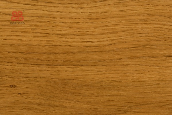 Cova 49240 Winchester XA (30708)