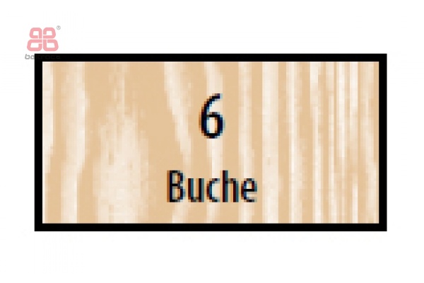 Nr. 6 Beuken